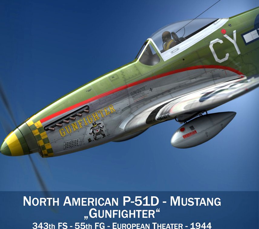 North American P-51D - Gunfighter3d model