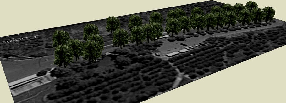 ODTÜ Yol Çankaya Ankara