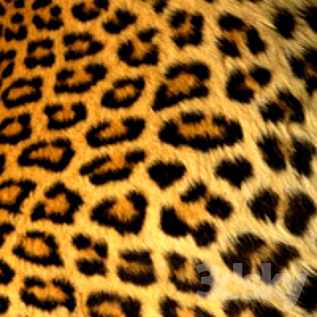 hide