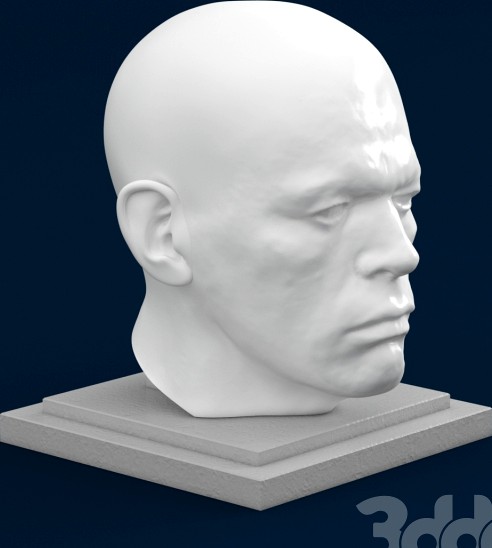 Statue head