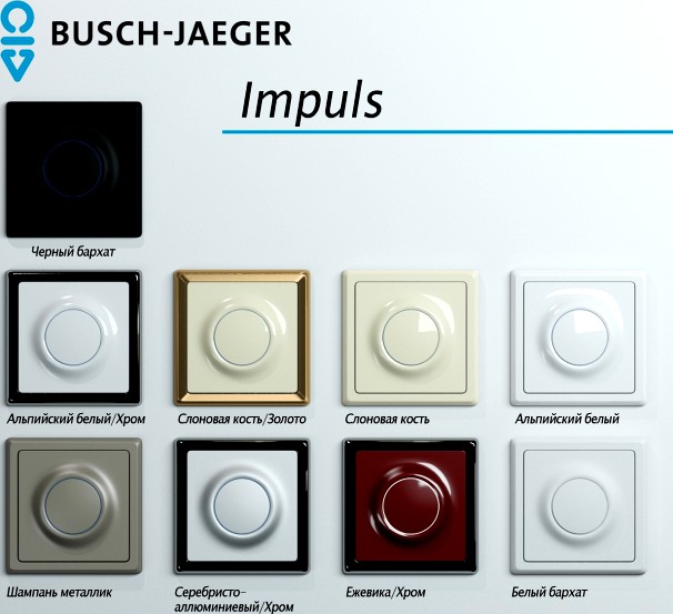 Busch-jaeger impuls