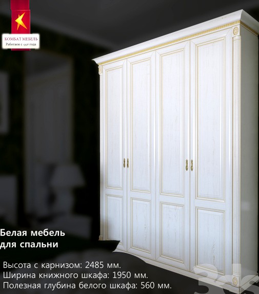 Combat \ wardrobe in the bedroom