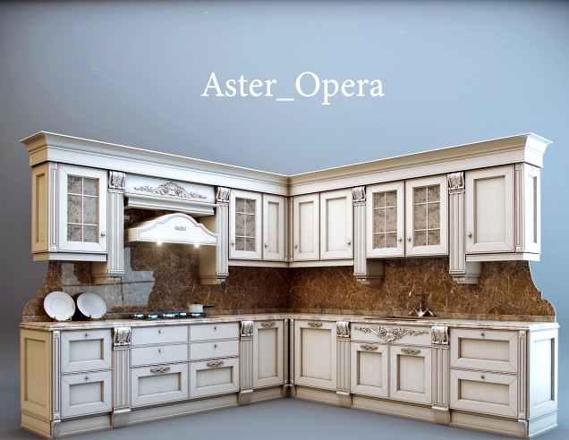 Aster / Opera