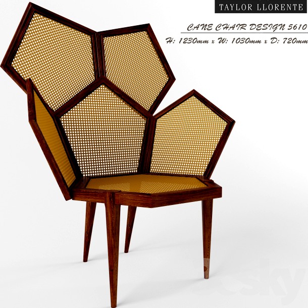 Armchair CANE CHAIR DESIGN 5610 from factory Taylor Llorente