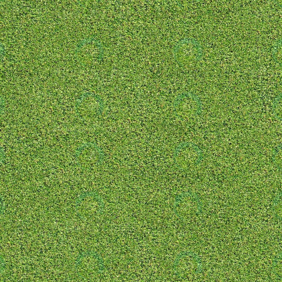 Texture Grass model