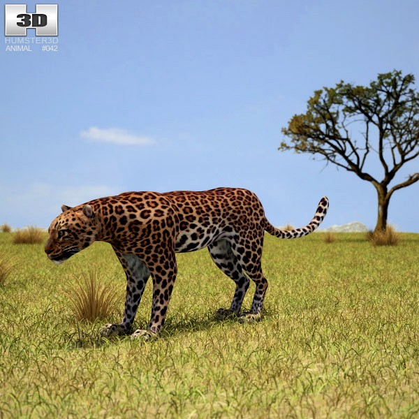 3D model of Leopard