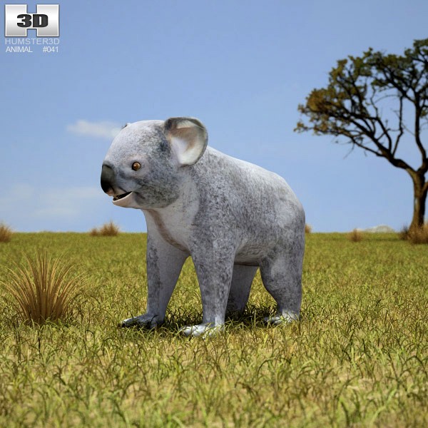 3D model of Koala