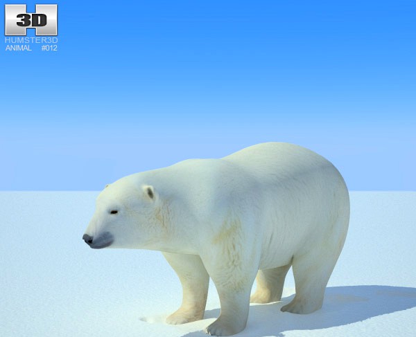 3D model of Polar Bear