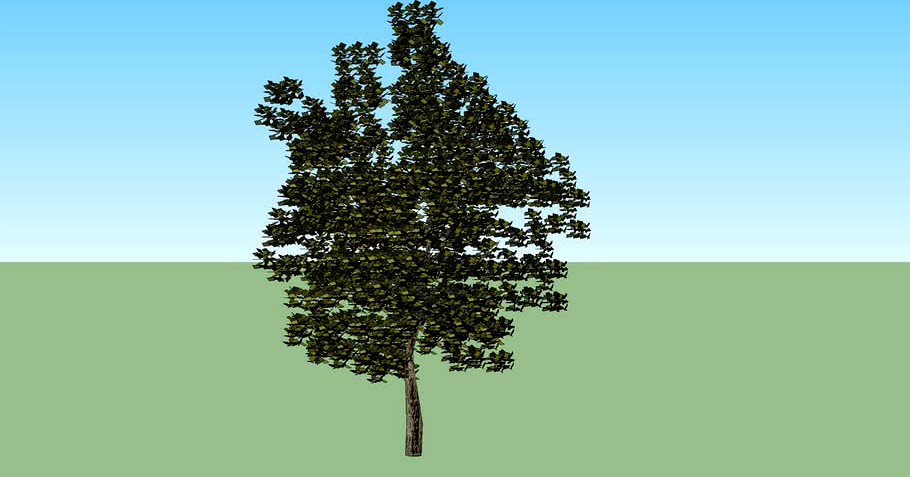 3d Tree - Deciduous