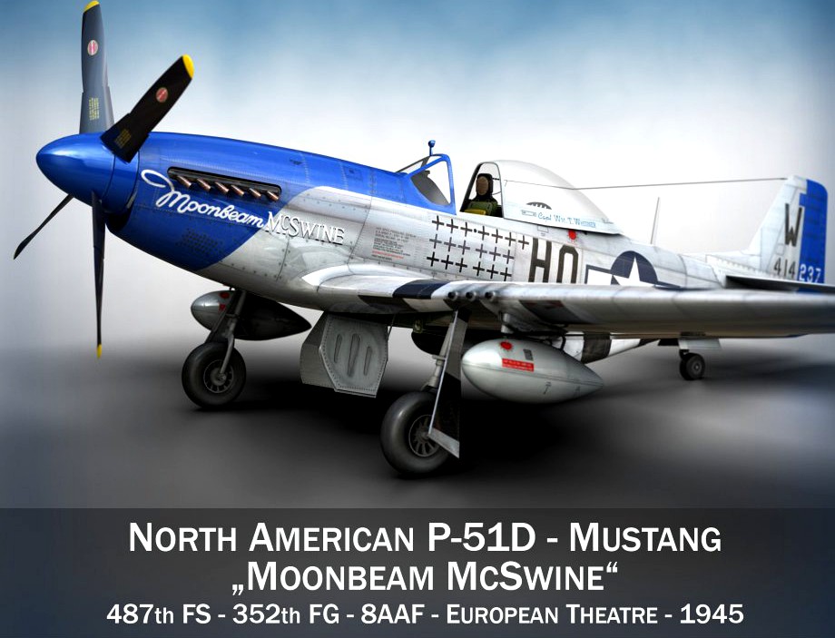 North American P-51D Mustang - Moonbeam McSwine3d model