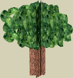 Basic Tree