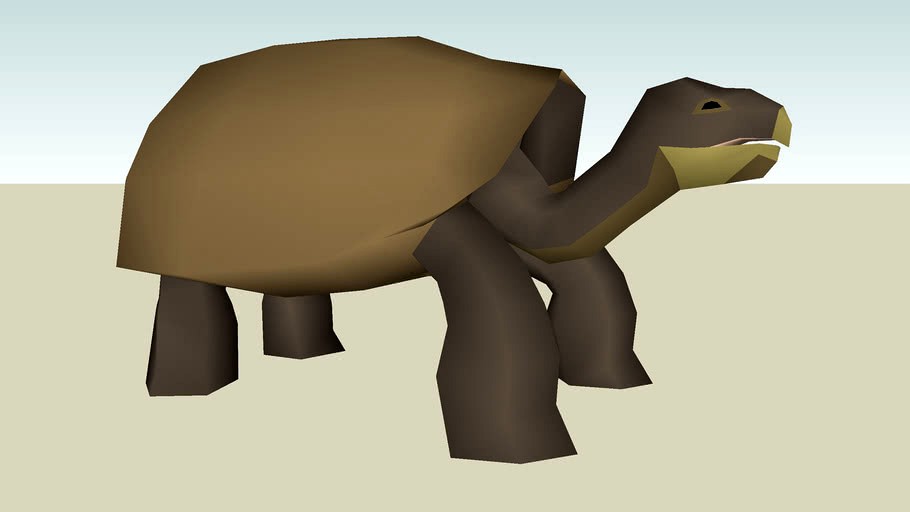 Galapagos Giant Tortoise