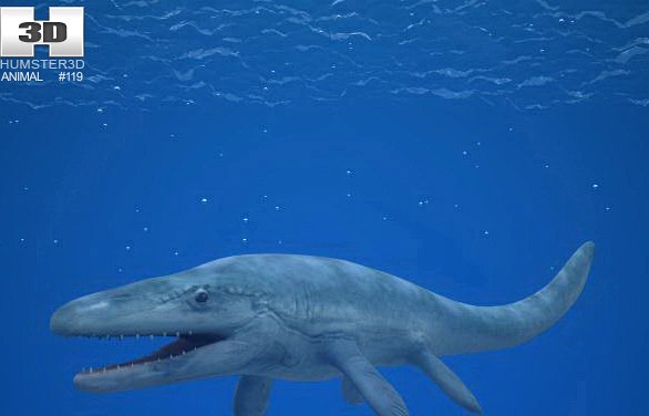 3D model of Mosasaurus
