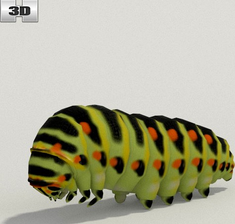 3D model of Caterpillar