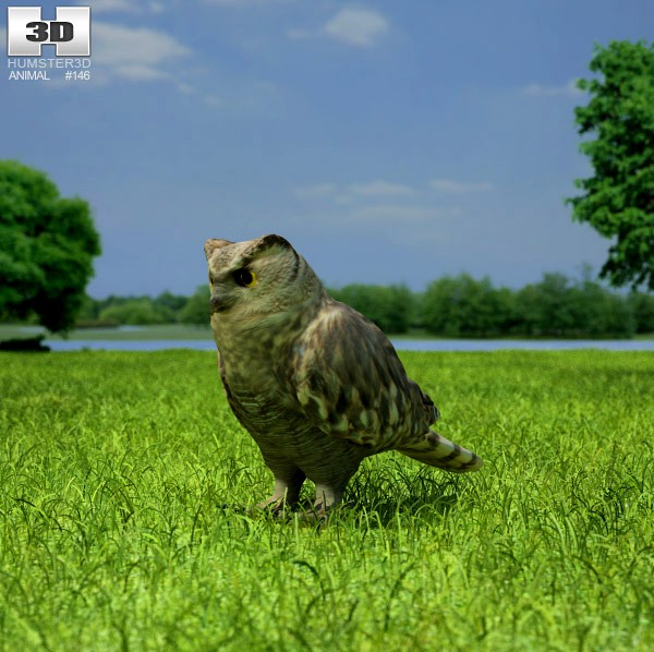 3D model of Eurasian Eagle-Owl