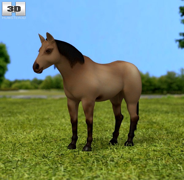 3D model of American Quarter Horse