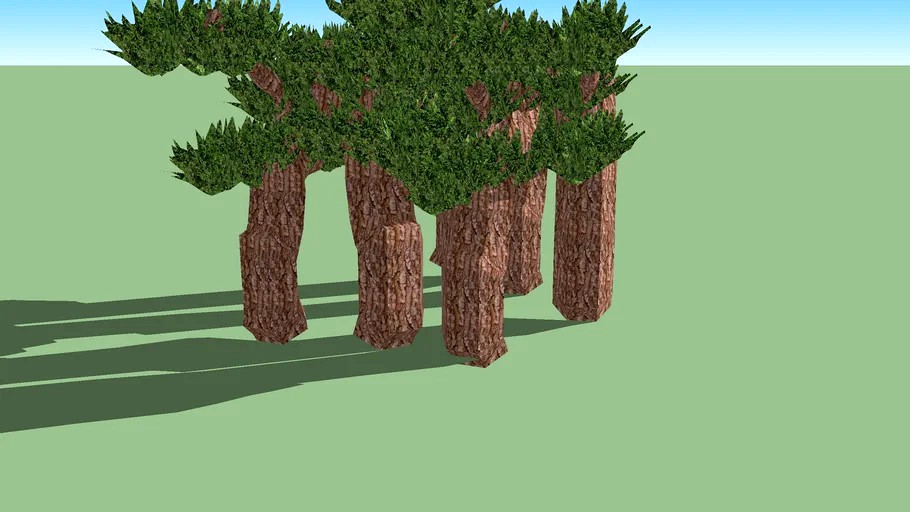 trees