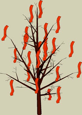 BACON TREE!!