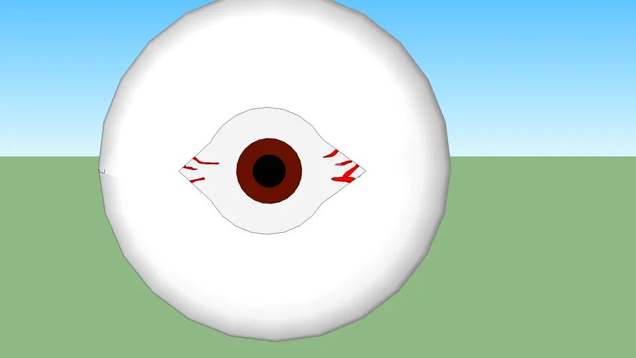 oeil
