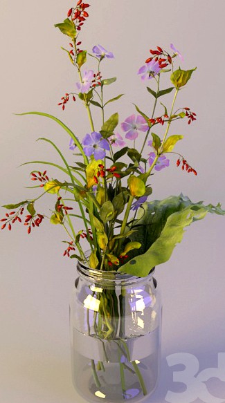 Flowers in the pot