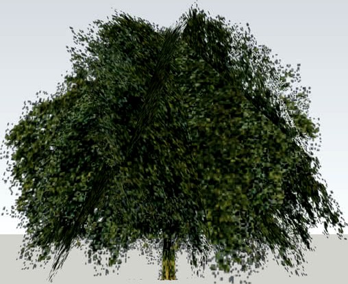 Tree version 3