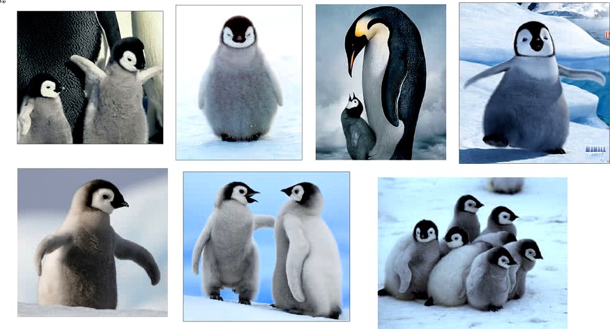 penguin collage