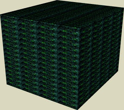 The Borg