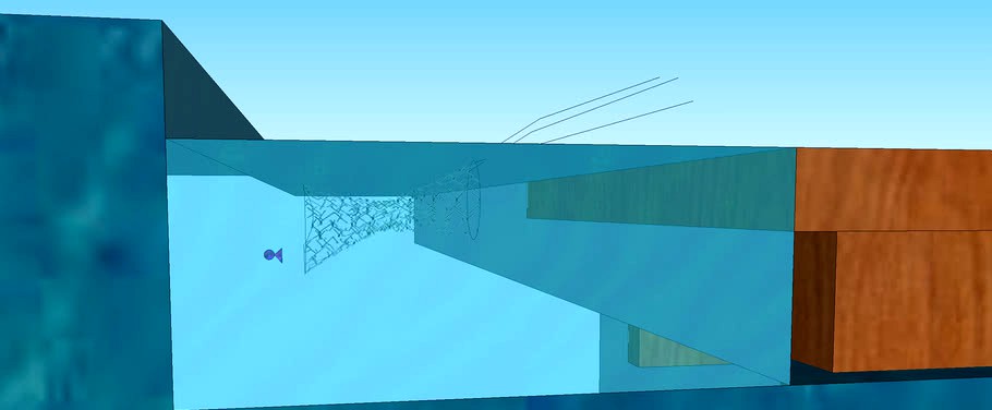 Fish Test