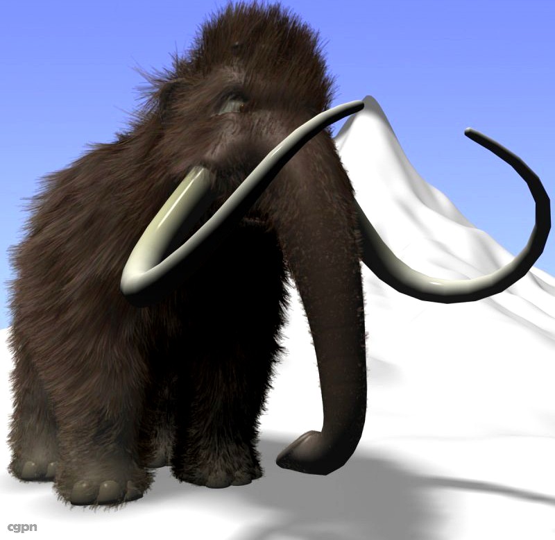 Cartoon Mammoth Rigged3d model