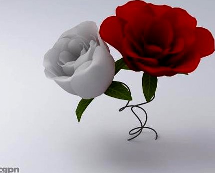 3D model of roses, flowers3d model