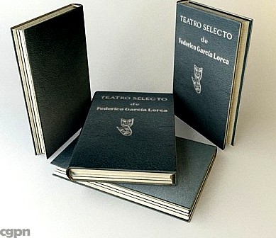 Old book 73d model