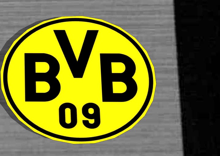 BVB 09