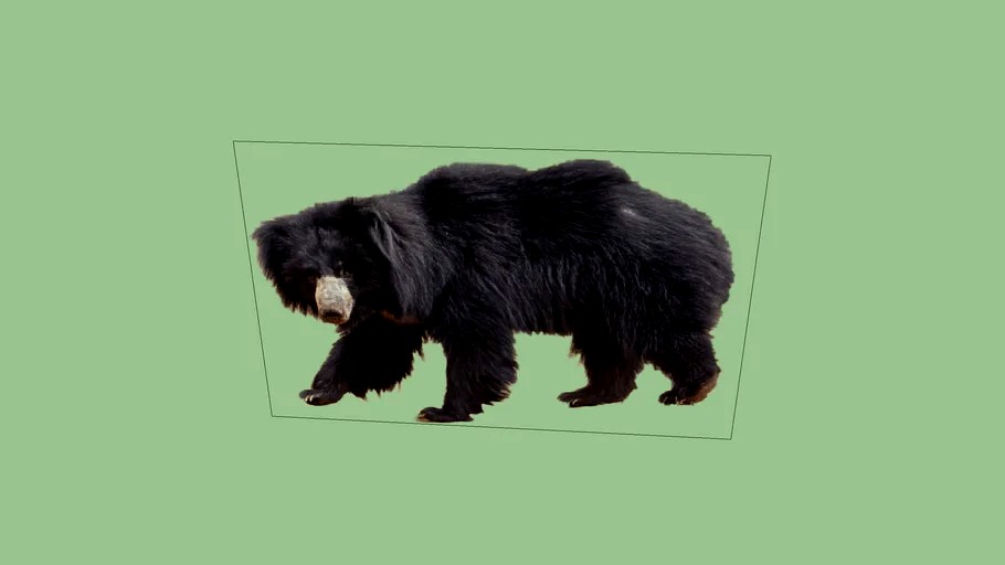 2d_sloth_bear_walking_pose