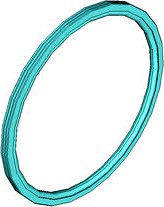 Turcon Roto Glyd Ring -external sealing