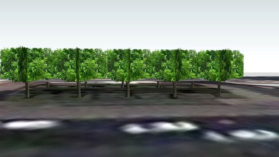 Dubai Municipality Trees 3d Model