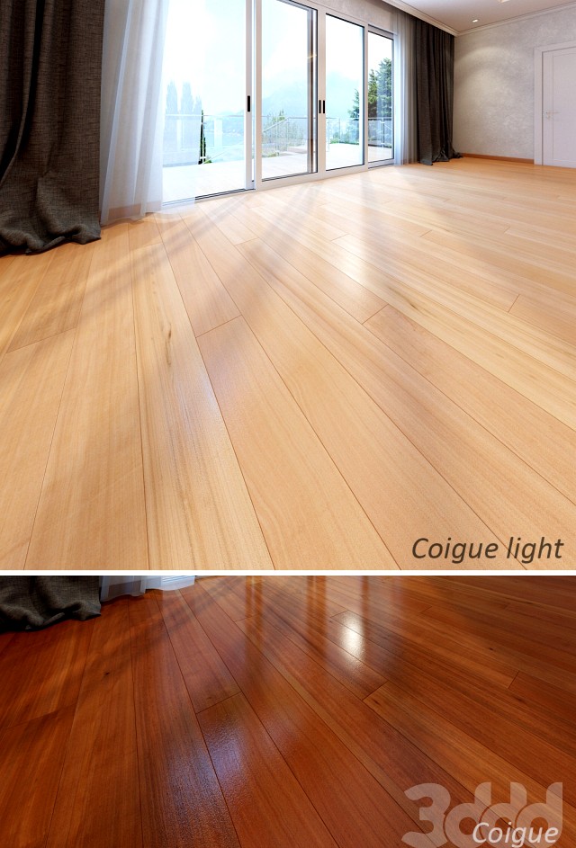coigue_coigue_light