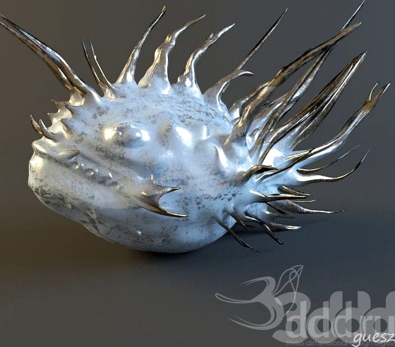 Crazy Fish Fig