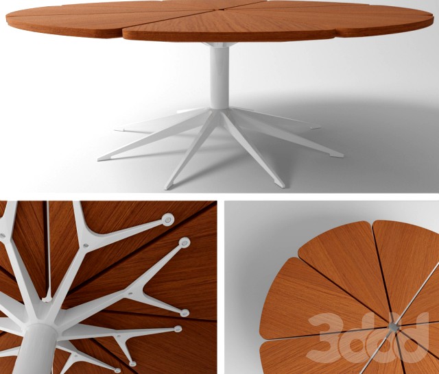 Knoll / Petal® Coffee Table