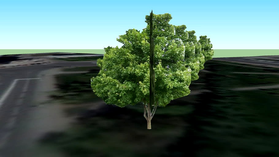 аллея на ул. Дзержинского