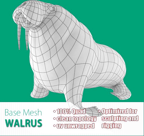 Walrus Base Mesh3d model