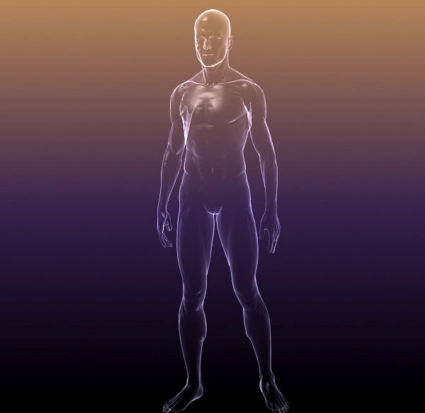 Human body - shape of a Male3d model