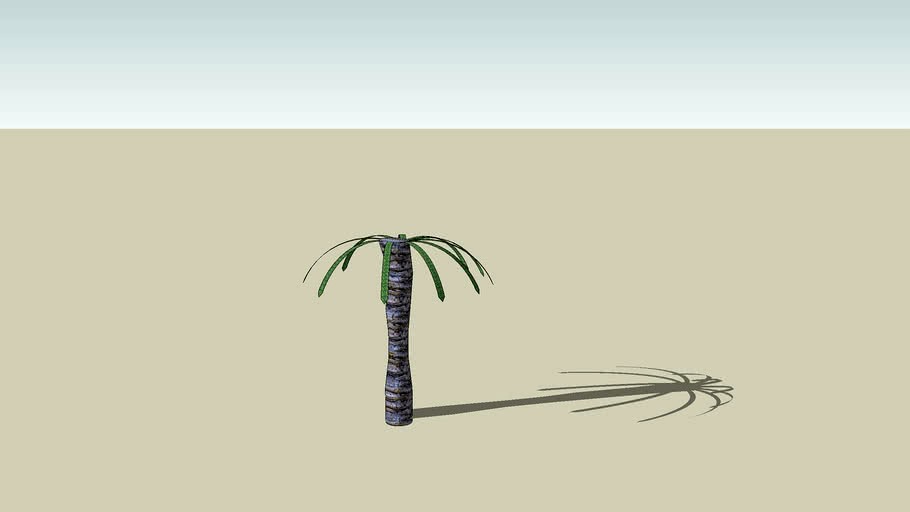 palm tree