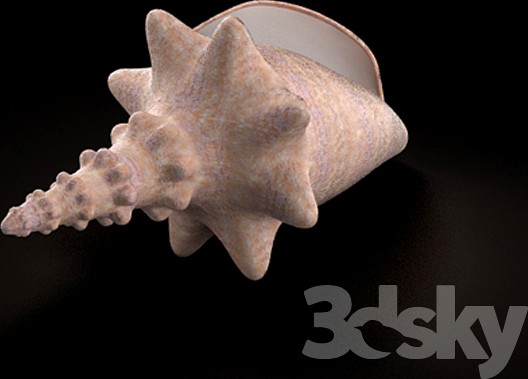 Shell
