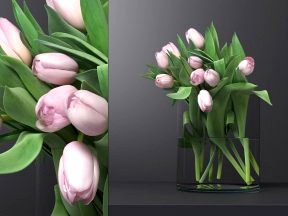 Pink Tulips