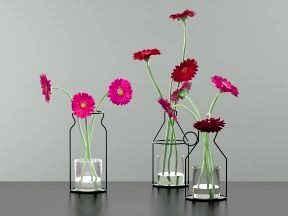Gerbera Daisies