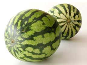 Watermelons Small