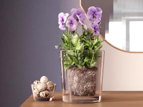 Spring Pansy Centerpiece