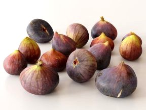 Brown Turkey Figs