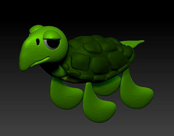 tortoise