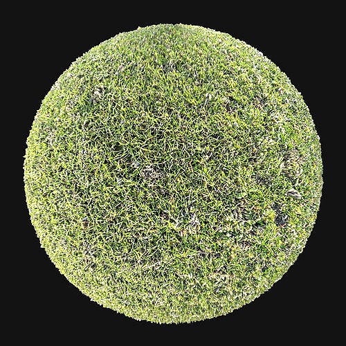 Grass PBR Material